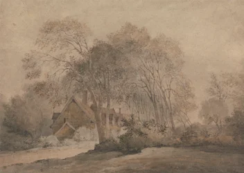 Una casa tra gli alberi