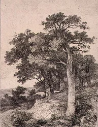 A Colney, pub. da J. & W. Freeman