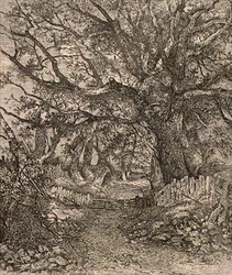 A Trowse, pub. da J. & W. Freeman