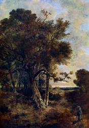Ai margini della foresta