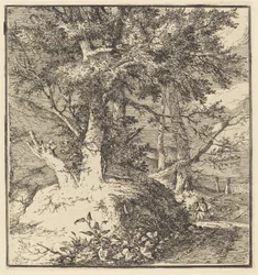 Albero su un tumulo
