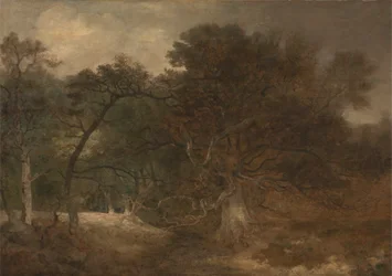 Paesaggio boschivo vicino a Norwich