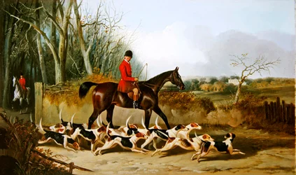 Crocteth Harriers, retro di Stanfield