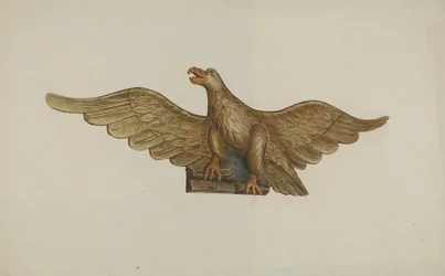 Aquila