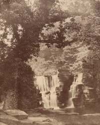 La cascata superiore, bosco della valle di Penllergare, c. 1852 (foto)
