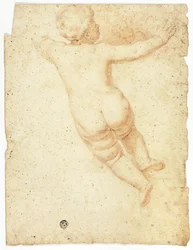 Putto da dietro