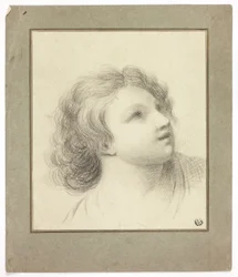 Testa rovesciata della gioventù