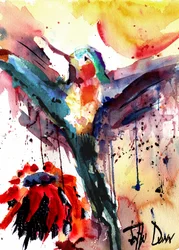 Fioritura vivace del colibrì