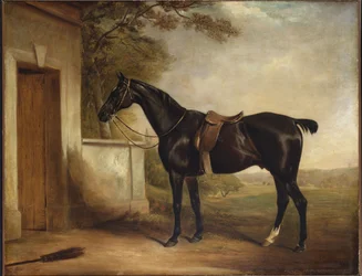 Ritratto di Buckle, il cavallo del primo Lord Chesham