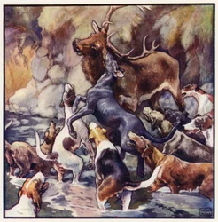 Si svolge una lotta tremenda, l