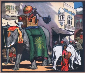 Elefanti