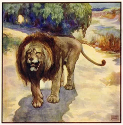 Mi resi conto per un solo istante che il leone stava arrivando