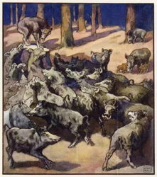 Al centro del ceppo c