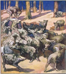 Al centro del ceppo c