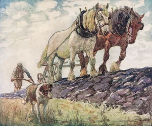 Aratura del campo, illustrazione da 
