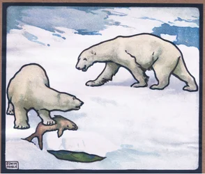 Orso polare