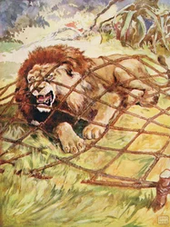 Il Leone e il Topo da 