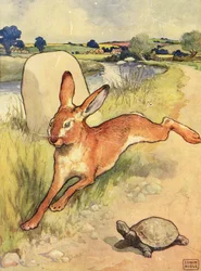 La tartaruga e la lepre da 