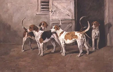 Quattro cani da caccia vicino a una porta della stalla
