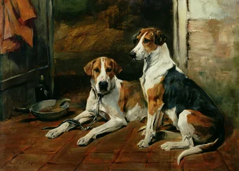 Cani in un interno di stalla
