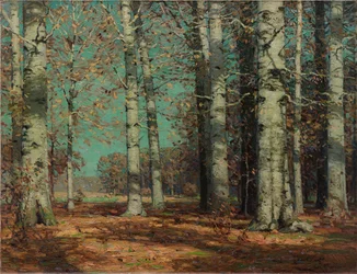 Faggi autunnali