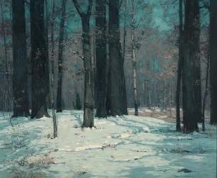 Boschi in inverno