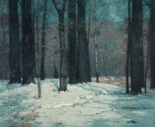 Boschi in Inverno