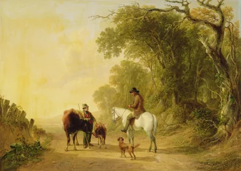 Il vecchio signore