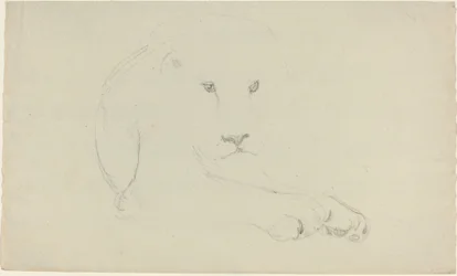 Leone