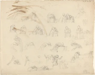Foglio di studi