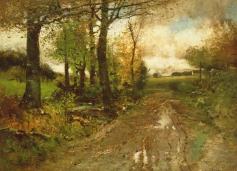Strada attraverso il bosco