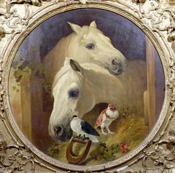 Cavalli vicino a una porta della stalla