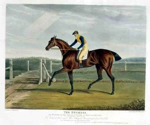 The Duchess, vincitore del Great St. Leger a Doncaster