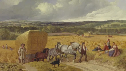 Raccolto