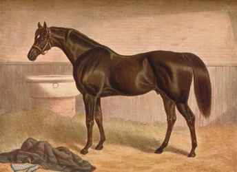 Gladiatore, XIX secolo, 1903