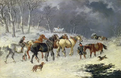 Cavalli nella Neve