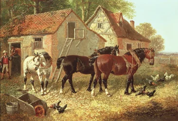 Preparazione dei cavalli da aratro