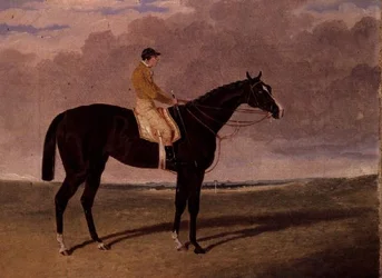 Queen of Trumps, un cavallo da corsa baio con fantino
