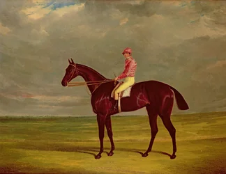 Immagine sconosciuta