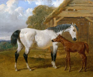 Cavalla e puledro davanti a un fienile, 1854