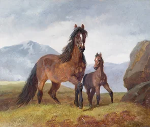 Una Giumenta e un Puledro di Montagna Gallese, 1854 (pannello)