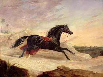 Arabi che inseguono un cavallo arabo sciolto in un paesaggio orientale