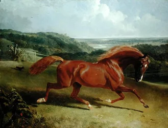 Cavallo al galoppo in un paesaggio