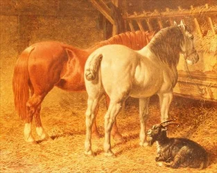 Cavalli e una capra in una stalla