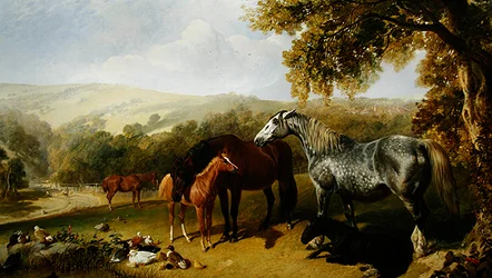 Cavalle e puledri in un paesaggio