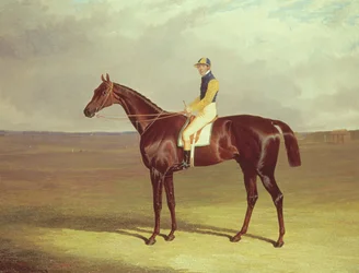 La stampella del Sig. M. Stanley a Newmarket Heath, 1833