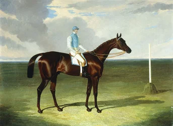 I signori Ridsdale e Gully