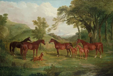 Lo Streatlam Stud, fattrici e puledri, 1836