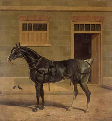 Immagine sconosciuta
