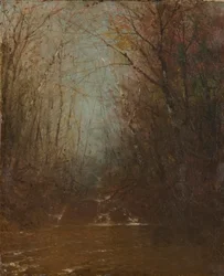 Interno della foresta con ruscello